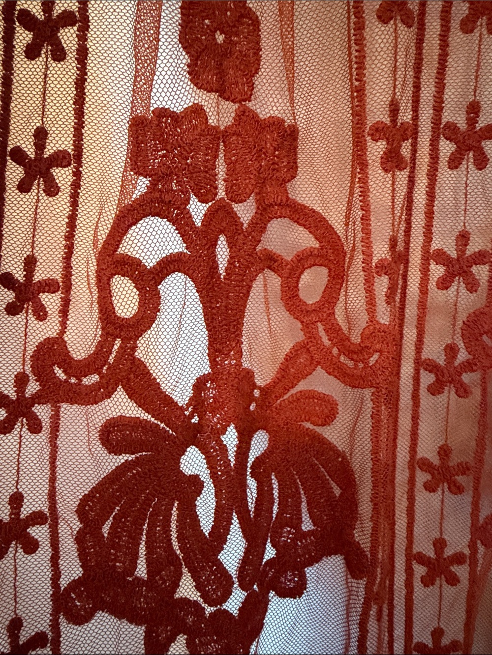ViViD Rust Colored Lace Overlay Top - Picture 3 of 7